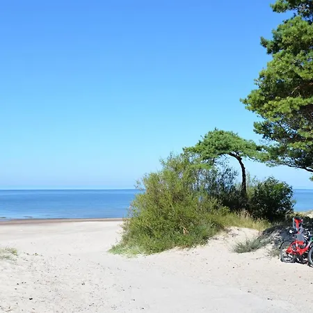 Gintarine Kopa Kunigiskiai