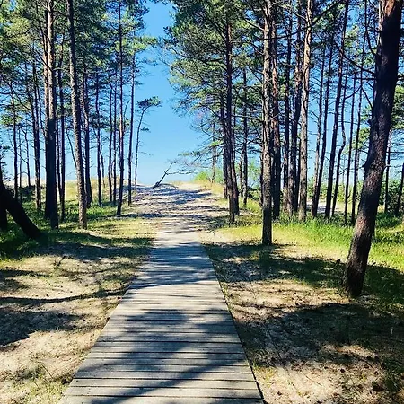 Gintarine Kopa Kunigiskiai