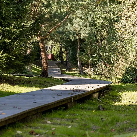 Gintarine Kopa Kunigiskiai Lejlighed Palanga