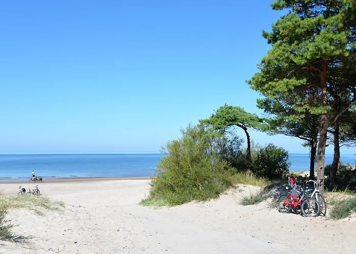 Gintarine Kopa Kunigiskiai