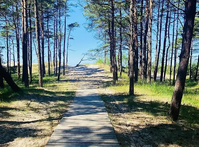 Gintarine Kopa Kunigiskiai