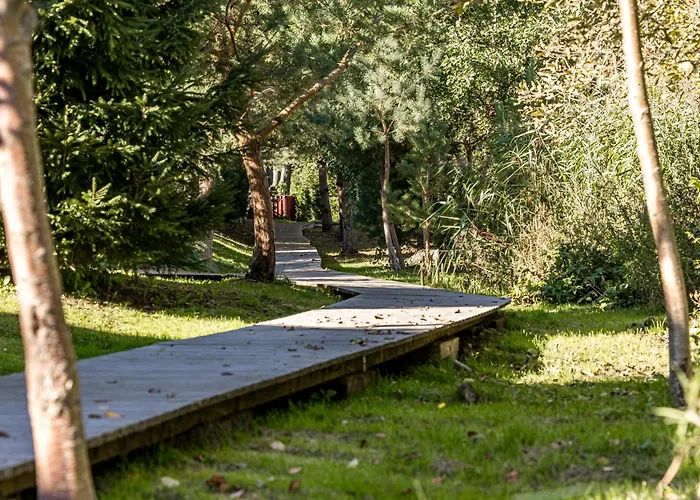 Gintarine Kopa Kunigiskiai Apartment Palanga