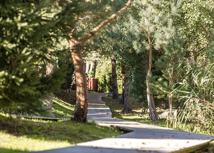 Gintarine Kopa Kunigiskiai Apartment